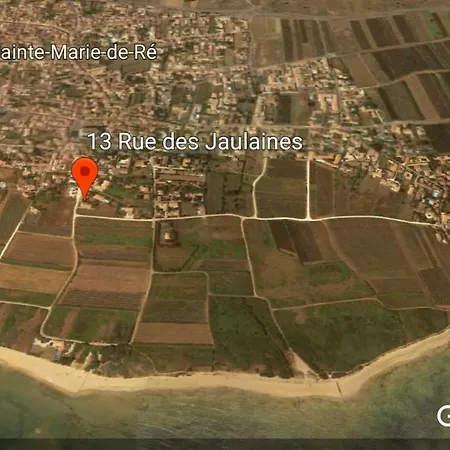 Des Jaulaines, En Bord De - Ile De Re Sainte-Marie-de-Ré