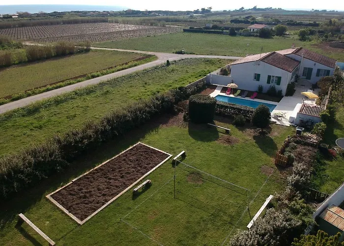 Des Jaulaines, En Bord De - Ile De Re